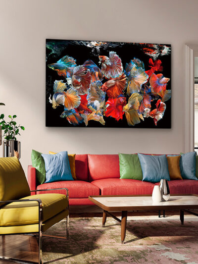 Peces Siam
