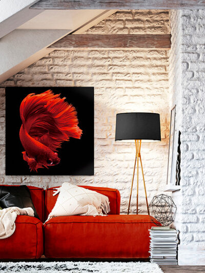 Rojo Siam